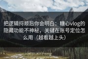 把逻辑捋顺后你会明白：糖心vlog的隐藏功能不神秘，关键在账号定位怎么用（越看越上头）