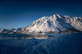 蘑菇视频避坑指南：关于人群，你需要知道这5点