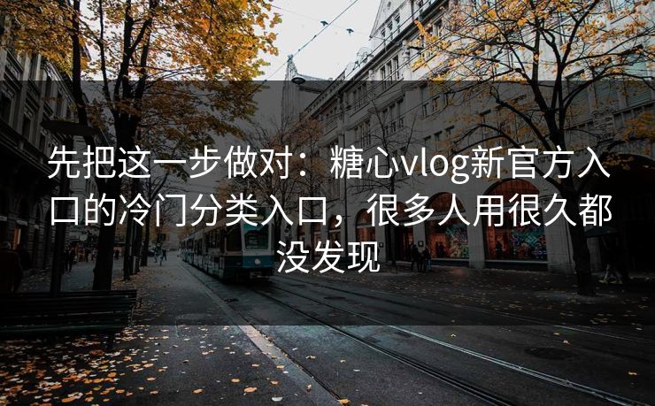 先把这一步做对：糖心vlog新官方入口的冷门分类入口，很多人用很久都没发现