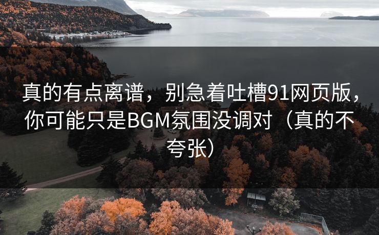 真的有点离谱，别急着吐槽91网页版，你可能只是BGM氛围没调对（真的不夸张）