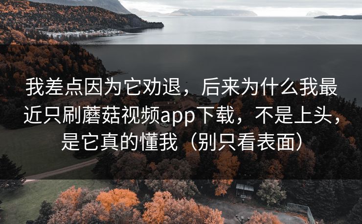 我差点因为它劝退，后来为什么我最近只刷蘑菇视频app下载，不是上头，是它真的懂我（别只看表面）