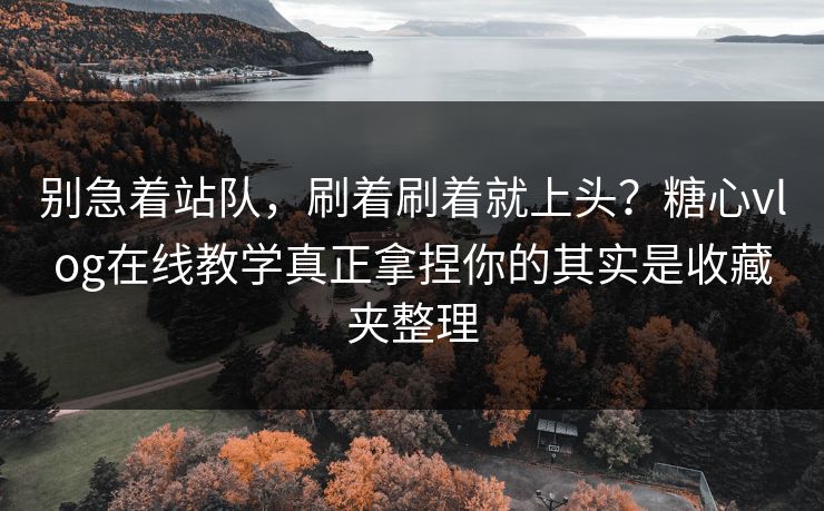 别急着站队，刷着刷着就上头？糖心vlog在线教学真正拿捏你的其实是收藏夹整理