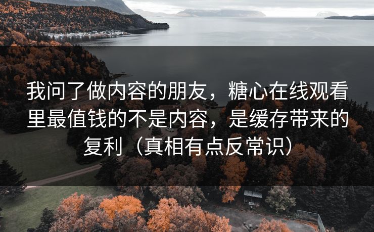 我问了做内容的朋友,糖心在线观看里最值钱的不是内容,是缓存带来的复利(真相有点反常识) 我问了做内容的朋友,糖心在线观看里最值钱的不是内容,是缓存带来的复利(真相有点反常识)